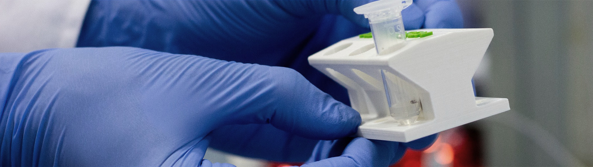 The Practical Course “CRISPR-Based Gene Knockout” / The XX International Summer School “Molecular Biology, Biotechnology, and Biomedicine”